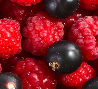 SWEET AS BERRIES