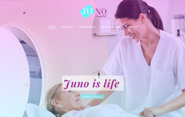 business-website-templates-business-wordpress-theme-juno