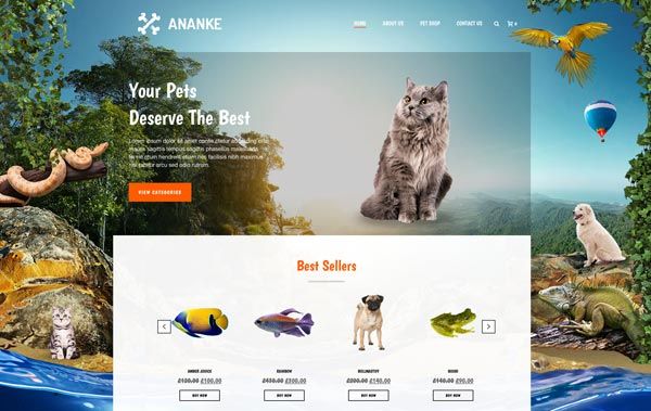 jupiter-wordpress-theme-business-website-templates-business-wordpress-theme-anake