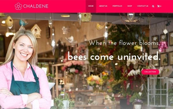 jupiter-wordpress-theme-business-website-templates-business-wordpress-theme-chaldene
