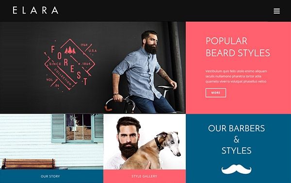 jupiter-wordpress-theme-business-website-templates-business-wordpress-theme-elara