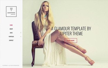 jupiter-wordpress-theme-business-website-templates-business-wordpress-theme-ganymede