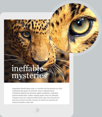 jupiter-wordpress-theme-business-website-templates-business-wordpress-theme-tablet jupiter-wordpress-theme-business-website-templates-business-wordpress-theme-tablet