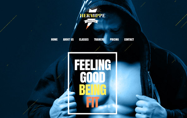 business-website-templates-business-wordpress-theme-hermippe